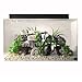 SeaClear 20 gal Acrylic Aquarium Combo Set, 24 by 13 by 16