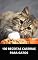Livro 100 RECEITAS CASEIRAS PARA GATOS
