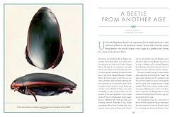 The Wonder Cabinet of Fabulous Insects: Secrets of