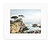California Coastal Wall Art, Lone Cypress Tree Picture - 5x7, 8x10 Print (not framed), ‘Lone Cypress’
