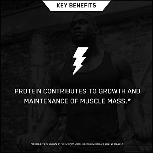 Optimum-Nutrition-Gold-Standard-100-Percent-Plant-Vegan-and-Gluten-Free-Protein-Powder-with-Vitamin-B12-Essential-Amino-Acids-Natural-Occurring-BCAAs-and-Glutamine-Berry-19-Servings-684-g