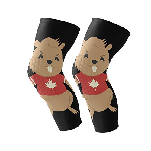 Knee Sleeve Beaver with Ice Hockey Stick and Puck Full Leg Brace Compression Long Sleeves Pads for Meniscus Tear, Arthritis, Running, Workout, Basketball, Sports, Men and Women 1 Pair