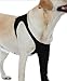 Suitical Recovery Sleeve for Dogs | Front Leg Protection After Surgery | Dog Leg Sleeve to Stop Licking | Machine Washable | Chest Circumference 31.5”- 40.9” | Sleeve Length 16.1” | XL | Single Sleeve
