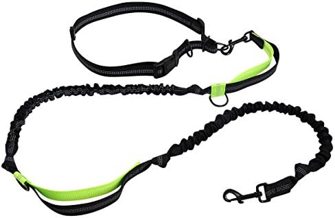 Retractable Hands Free Dog Leash, Dual Reflective Bungee Leash for Running Walking Hiking with Adjustable Waist Belt