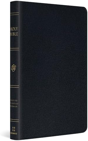 BIG LETTER GOOD HOLY DAY BIBLE　聖書　韓国語 ESV Giant Print Thinline Bible, Red Letter (Genuine Leather, Black