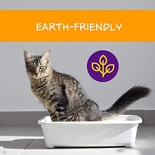 Petfive Garfield Cat Litter Ultimate Clump, All Natural, Fast Clumping