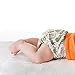 Bumkins Snap-in-One Cloth Diaper, Lorax