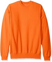 Hanes Men's EcoSmart Fleece Sweatshirt