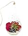 Bliss Gardens Mini Air Plant Terrarium with 5" Teardrop Glass, Fuchsia Moss, White Rocks and Snowflake Obsidian