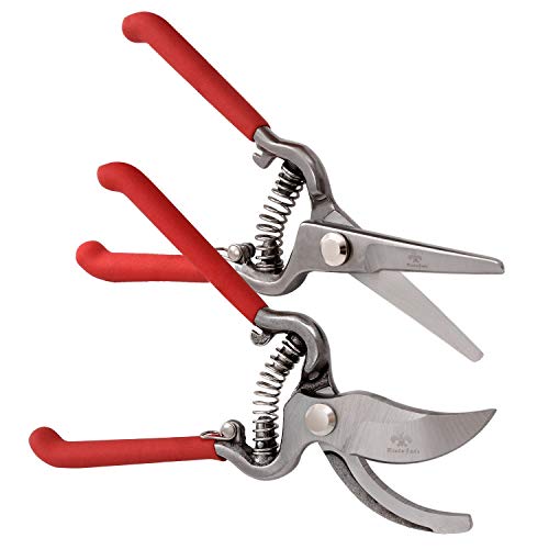 rista jade Professional Hand Pruning Shears Set – Bypass Gardening Hand Pruner Sharp Secateurs with Comfort Grip Handles and Hardened Steel Clippers for Gardening, Trimming, and Yard Work, 2 Pack