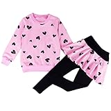 DDSOL Little Girls Clothing Set Outfit Heart Print Hoodie Top+Long Pantskirts 2pcs