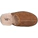 UGG Men's Scuff Slipper, Chestnut, 12 US/12 M US
