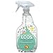 Earth Friendly Products Stain & Odor Remover, 22 oz