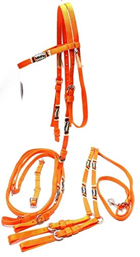 Pony Orange Nylon w/ Braided Rawhide Trim Bridle w/ Breast Harness Horse Tack