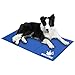 WINSEE Pet Cooling Gel Pad, Self Cooling Mat Comfort Non-Toxic Cold Mat for Dogs Cats 35.4 x 19.7 inch Large (Blue)