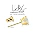 LuxLock TM World's most secure Patented Replacement Earring Back in .925 Silver (Patent # US8365369)