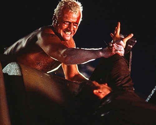 Rutger Hauer and Harrison Ford in Blade Runner on edge of building 16x20 Canvas