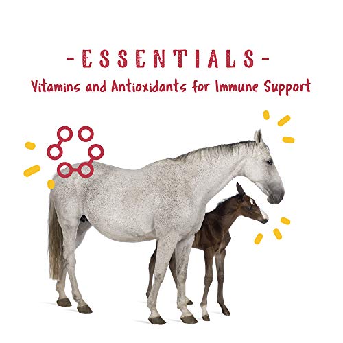 Manna Pro Weight Accelerator for Senior Horses Made with Omega 3