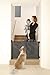Binadboo Retractable indoor Safety Gate Sturdy and Durable Mesh | Super Safe 35