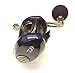 Daiwa LEXA-HD300XS-P Lexa Type-HD Baitcasting Reel, 300 Hyper Speed, 8.1: Gear Ratio, 6CRBB, 1RB Bearings. 22 Max Drag, RH