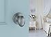 Copper Creek EK2040SS Egg Door Knob, Keyed Entry Function, 1 Pack, in Satin Stainless