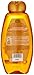 Garnier Whole Blends Shampoo with Moroccan Argan & Camellia Oils Extracts, 22 Fl Oz (Pack of 1), Moroccan Argan & Camelilia Oils