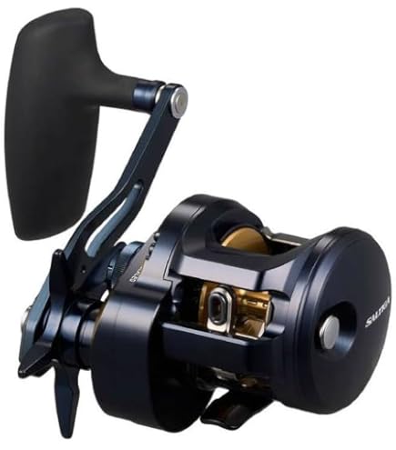 Amazon.com : Daiwa 21 Saltiga IC 100 : Sports & Outdoors