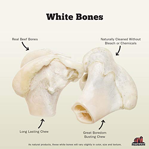 Redbarn White Knuckle Bones for Dogs. AllNatural Beef Femur Bone