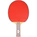 DHS Ping Pong Table Tennis Racket Paddle Bat 6 Star Shakehand Long Handle 6003