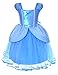 Party Chili Princess Fairy Costume Toddler Girls Birthday Dress Up with Tiara (3T 4T)