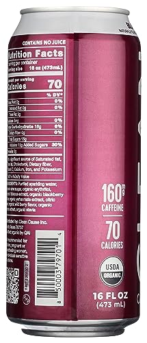 CLEAN CAUSE, YERBA MATE BLACKBERRY ORGANIC, 16 FL OZ