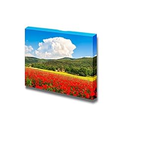 Beautiful Landscape with Field of red Poppy Flowers and Traditional Farm House in Monteriggioni Tuscany Italy - Canvas Art Wall Art - 12" x 18"