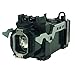 FI Lamps Replacement Lamp for Sony XL-2400 with Housing