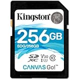 Kingston Digital Canvas Go! 256GB SDXC Class 10 SD Memory Card UHS-I 90MB/s R 45MB/s (SDG/256GB)
