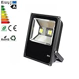 The New Outdoor lighting black environmental lighting concept, high - quality waterproof design 100W LED Cool White (Black-12)