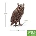 Achla Designs Great Horned Owl Garden Statue, Bronze