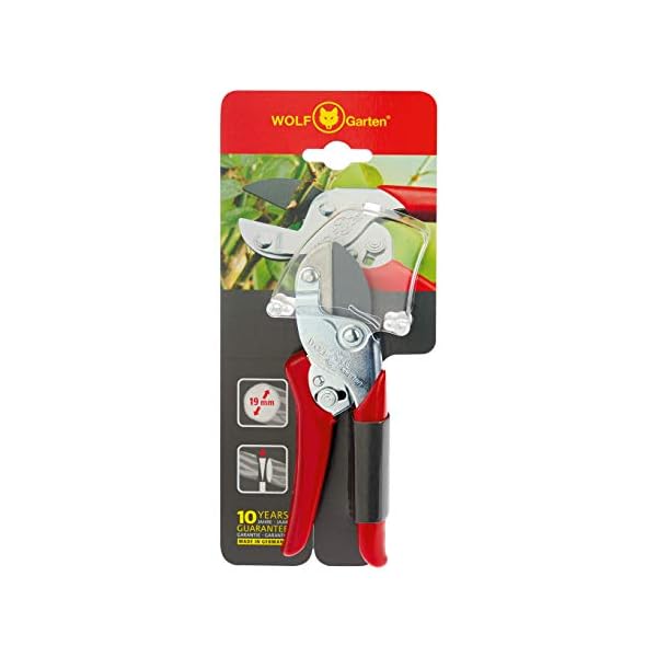 WOLF-Garten - Amboss-Gartenschere »Aktion« RS-EN; 7210060, Basic – Bild 5