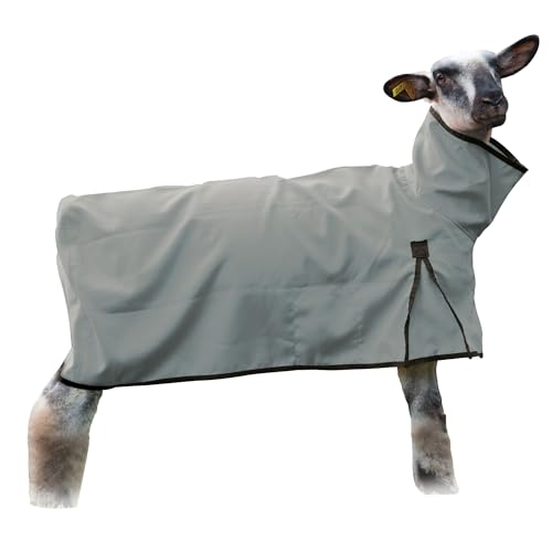 Weaver Livestock Solid Butt Sheep Blanket