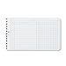 Wilson Jones - Extra Sheets for Six-Ring Ledger Binder, 100/Pack 758-50 (DMi PK