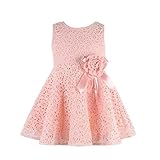 Lisin 1PC Girls Kids Full Lace Floral Princess Party Dress Sleeveless Child O-Neck One Piece Dress (Pink, 4-6Years)