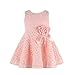 Lisin 1PC Girls Kids Full Lace Floral Princess Party Dress Sleeveless Child O-Neck One Piece Dress (Pink, 4-6Years)