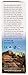Australian Emu Oil with Vitamin E & C - 50mL Skin Brightener Serum for Face & Body to Reduce Visible Signs of Aging, Spots & Sun Damage - Antioxidant w/Omega 3 6 9 & Essential Oils by Y-Not Natural