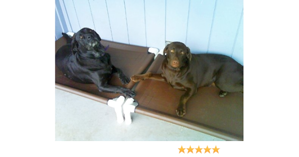 hi k9 raised dog bed