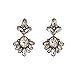 Fit&Wit Golden Tone Rhinestone Clear Crystal Drop Dangle Stud Earrings Jewelry Set