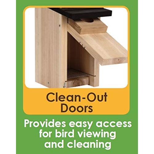 Wild Wings Cedar Blue Bird Box - Image 4