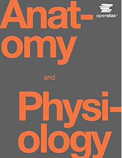 College Physics Paul Peter Urone Pdf Download