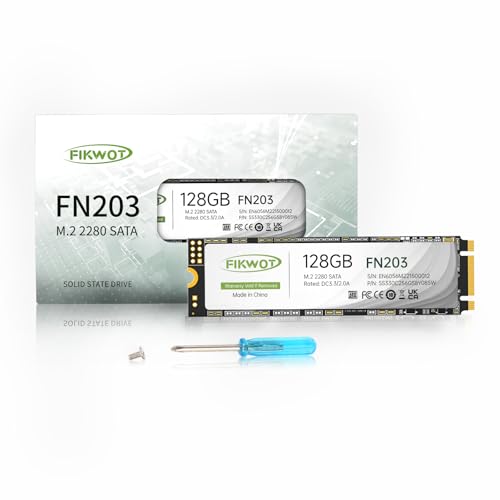 Fikwot FN203 M.2 SATA SSD