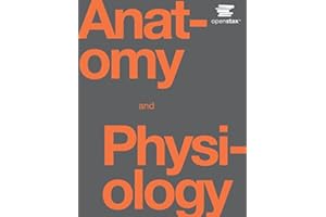 Anatomy and Physiology