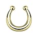 Inspiration Dezigns Gold Fake Non-Piercing Nose Ring Septum Piercing Jewelry