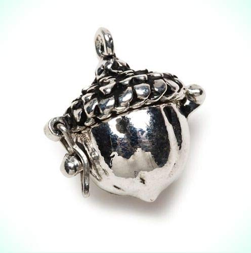 Acorn Oak Seed Antiqued Silver Wish Prayer Box Locket Pendant or Charm